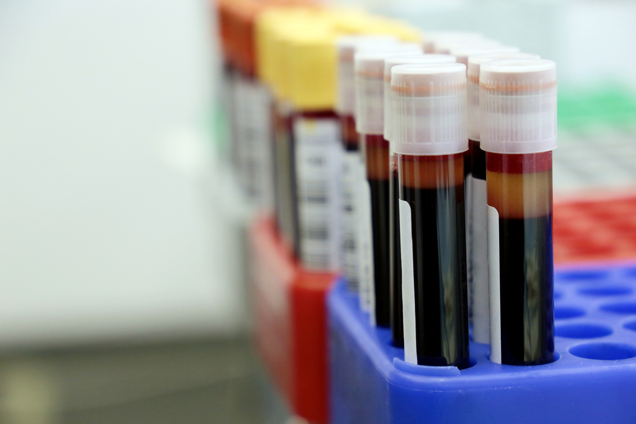 Lab Services - Stoughton Health